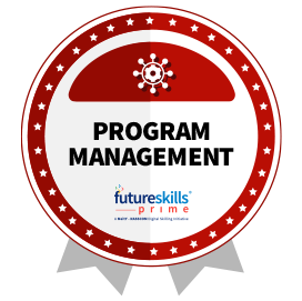 Transitioning to Program Management