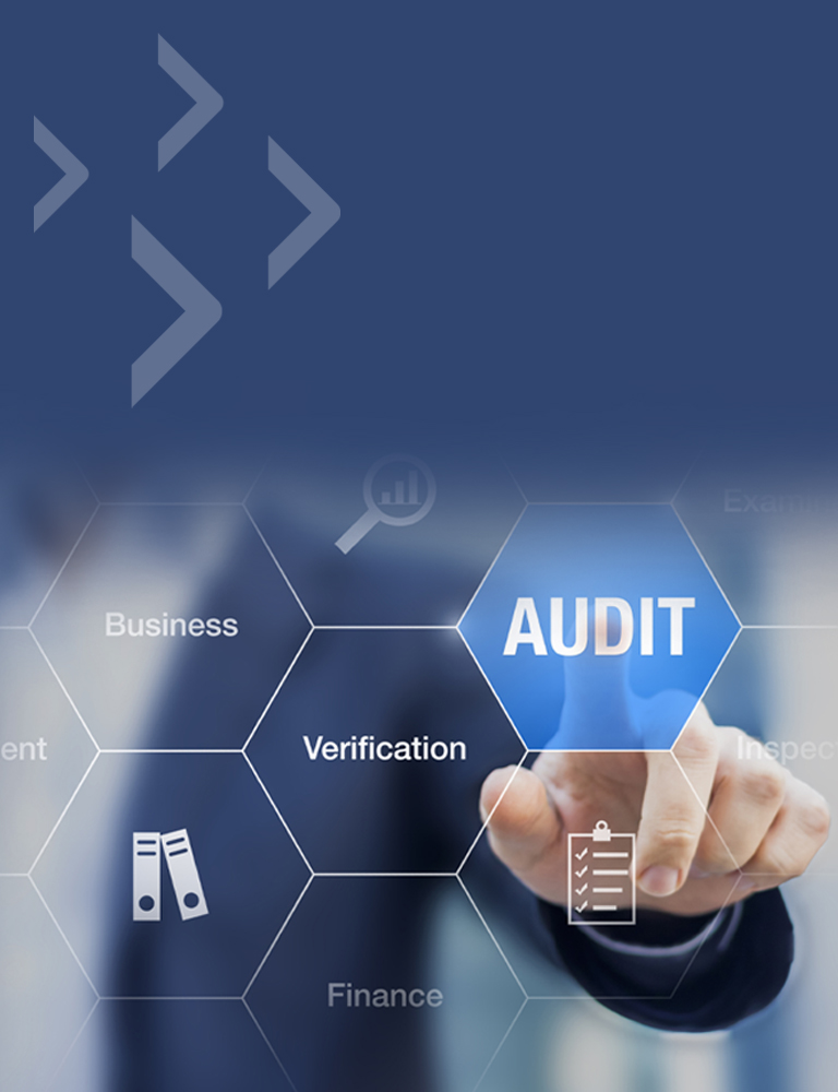 Preparing for Information Security Audits (SKO 0905)