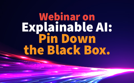 Explainable AI: Pin Down the Black Box.